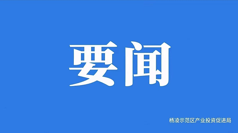 杨凌示范区产业投资促进局召开局例会